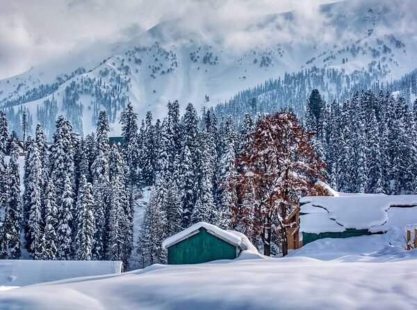 winter in kashmir with yaari holidays kashmir